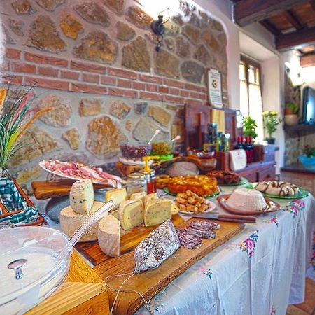 Agriturismo La Valle Degli Ulivi Semproniano Екстериор снимка