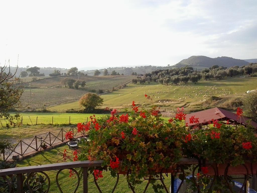 Agriturismo La Valle Degli Ulivi Semproniano Екстериор снимка