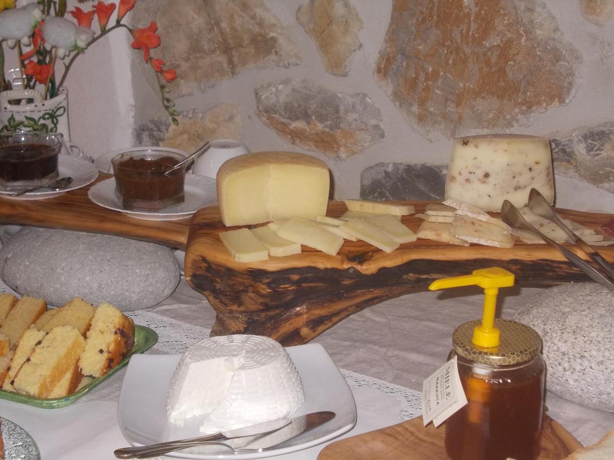 Agriturismo La Valle Degli Ulivi Semproniano Екстериор снимка