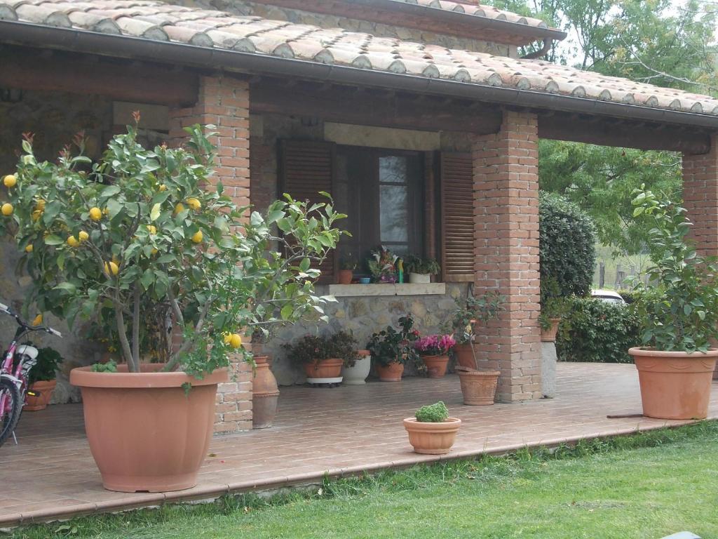 Agriturismo La Valle Degli Ulivi Semproniano Екстериор снимка