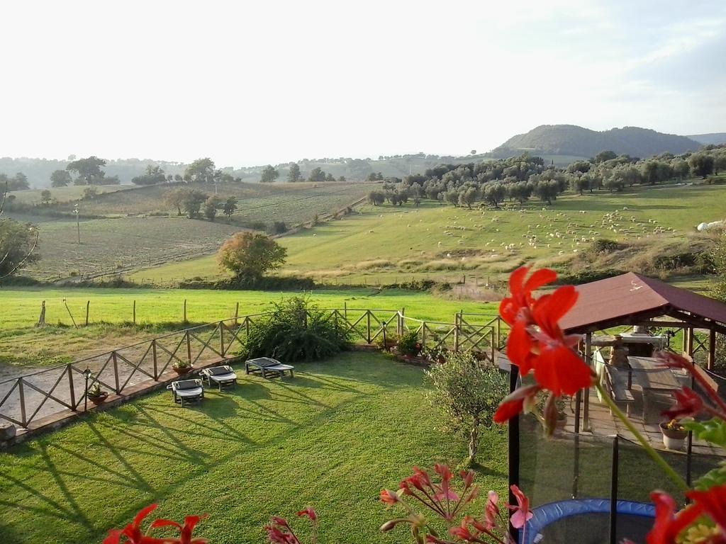 Agriturismo La Valle Degli Ulivi Semproniano Екстериор снимка