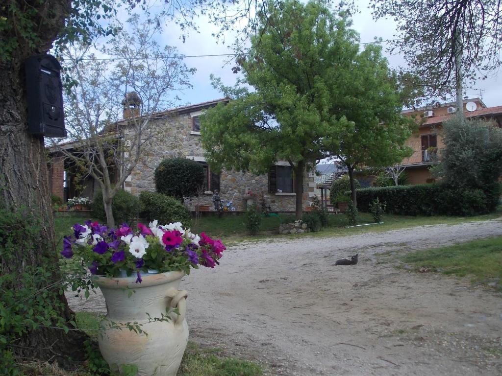 Agriturismo La Valle Degli Ulivi Semproniano Екстериор снимка